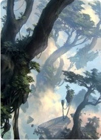 Forest 1 Art Card [Zendikar Rising Art Series] | PLUS EV GAMES 