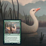 Ornithological Studies - Cape Fear Collectibles